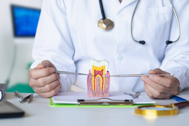 Best Emergency Treatment for Dental Infections or Abscesses in Tampa, FL